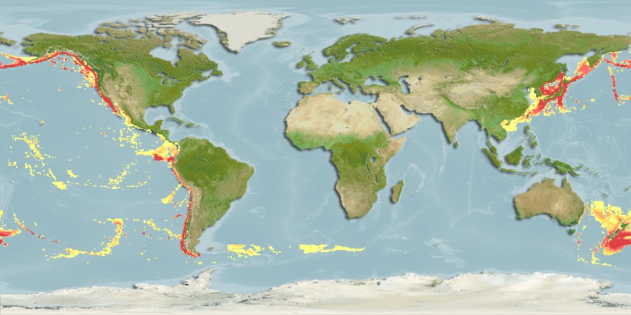 Aquamaps of Bothrocara molle