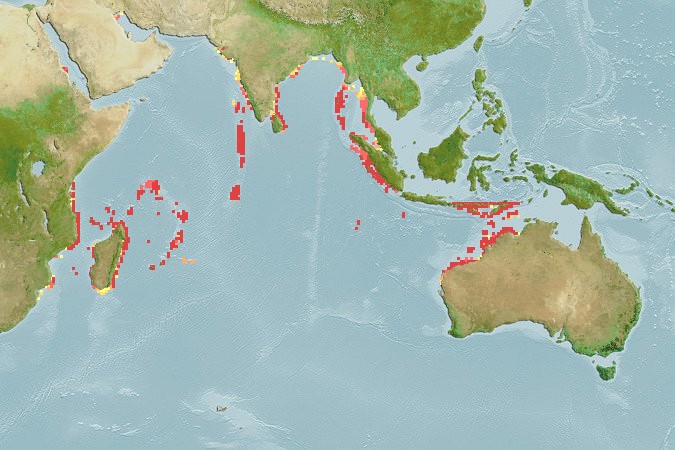 Aquamaps of Xenisthmus africanus