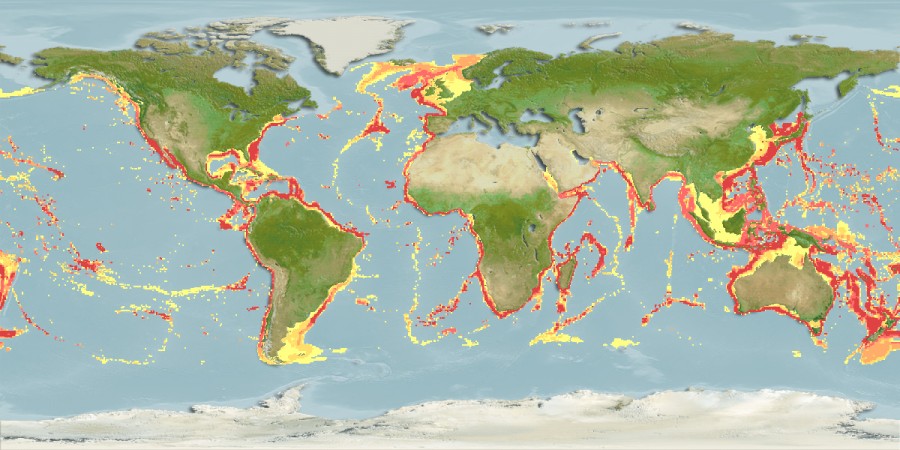 Aquamaps of Zameus squamulosus