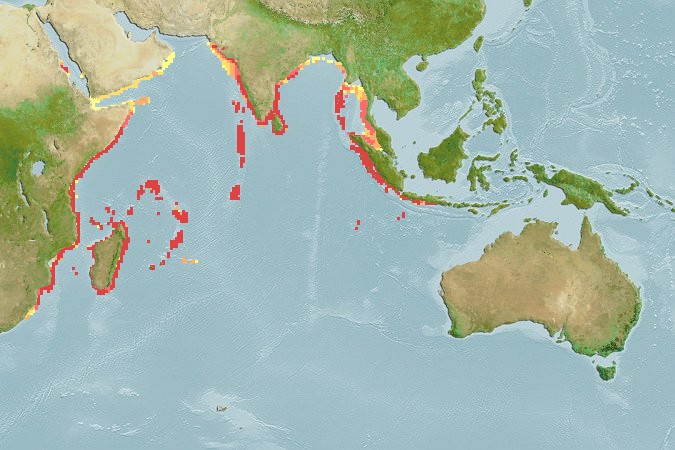 Aquamaps of Parupeneus trifasciatus