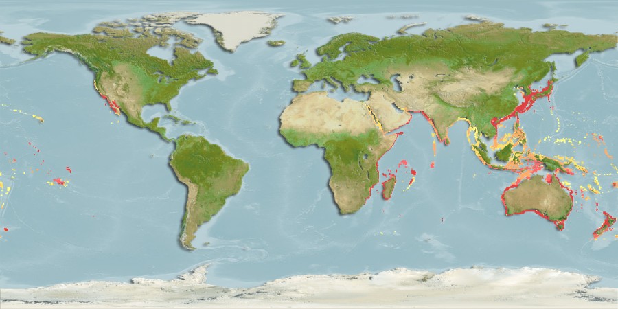 Aquamaps of Scomber australasicus